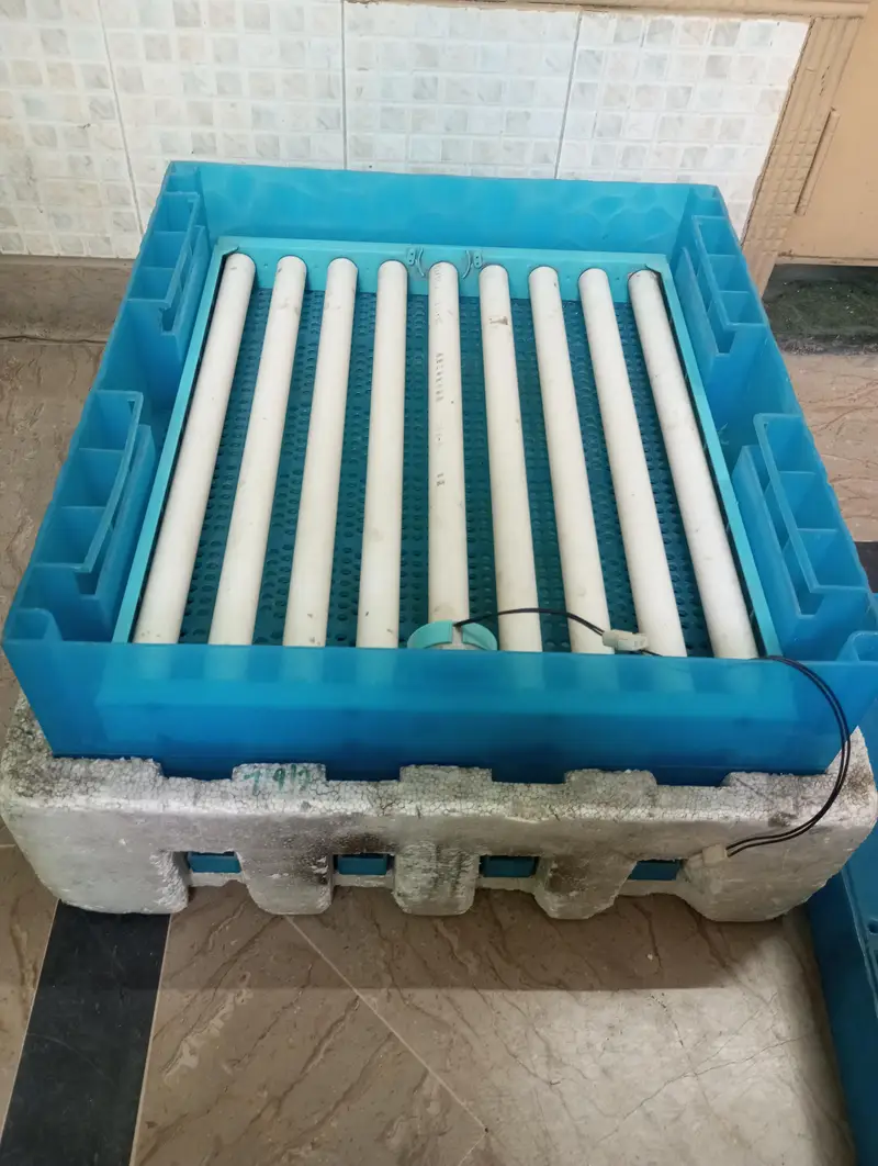 Double Rolling Tray imported incubator — photo 2