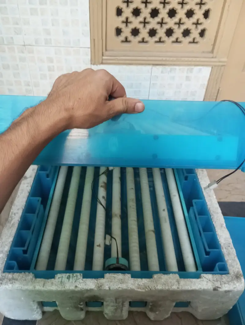 Double Rolling Tray imported incubator — photo 3