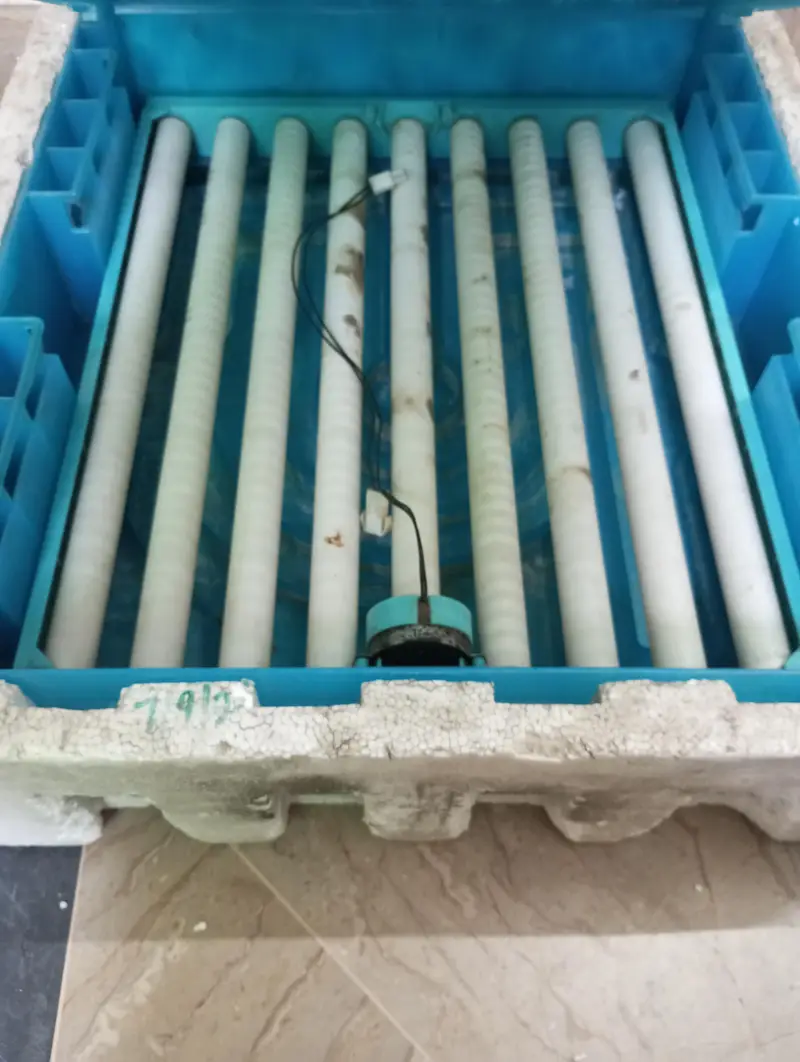 Double Rolling Tray imported incubator — photo 4