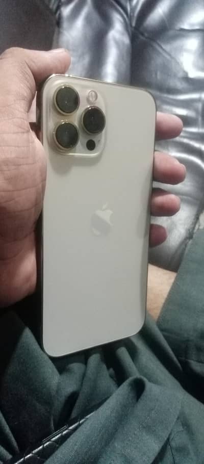 Apple iPhone 13 Pro Max