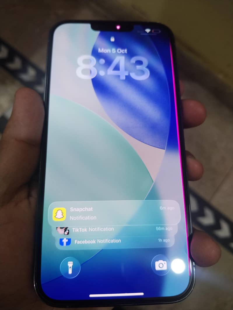 Apple iPhone 13 Pro Max 11