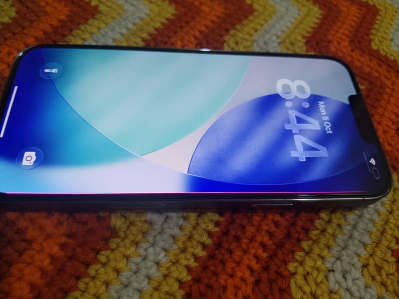 Apple iPhone 13 Pro Max 12