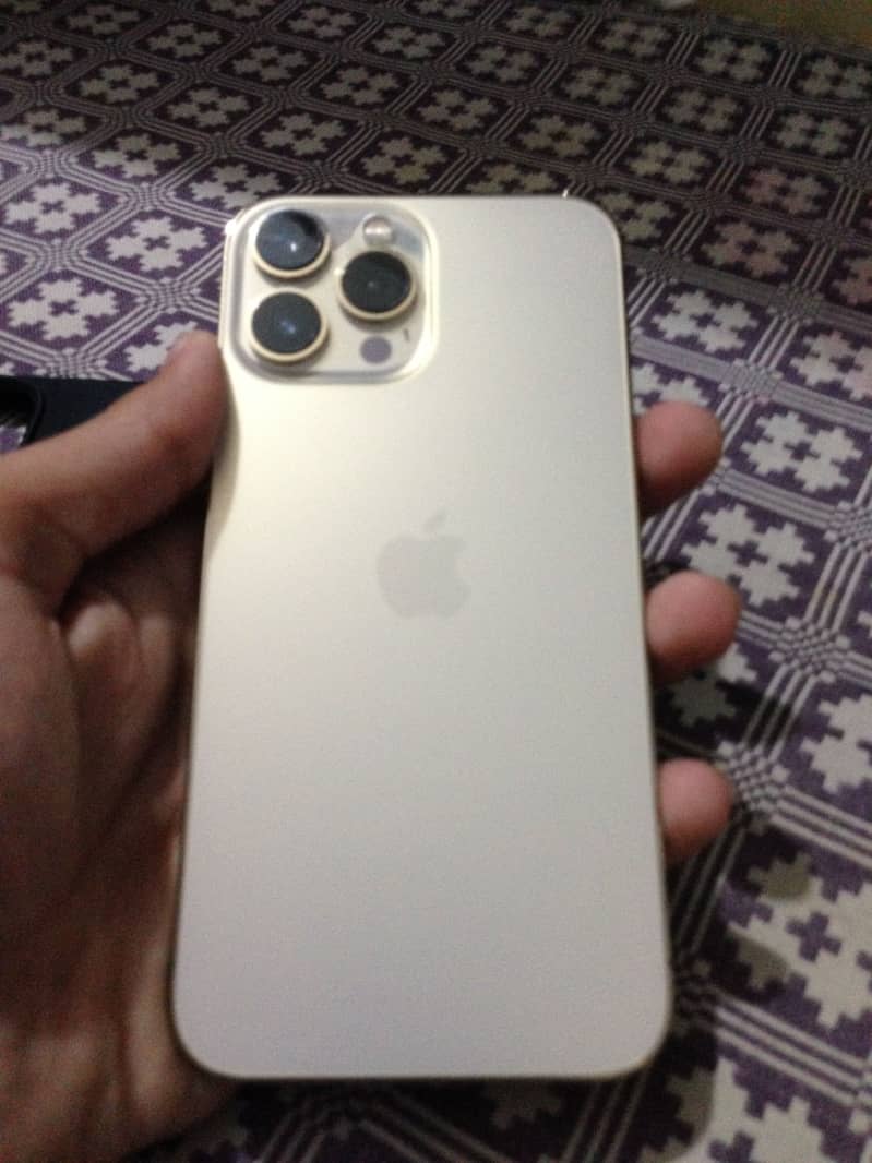 Apple iPhone 13 Pro Max 0