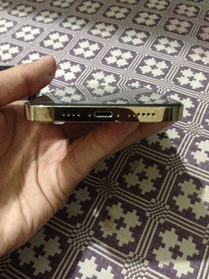 Apple iPhone 13 Pro Max 2