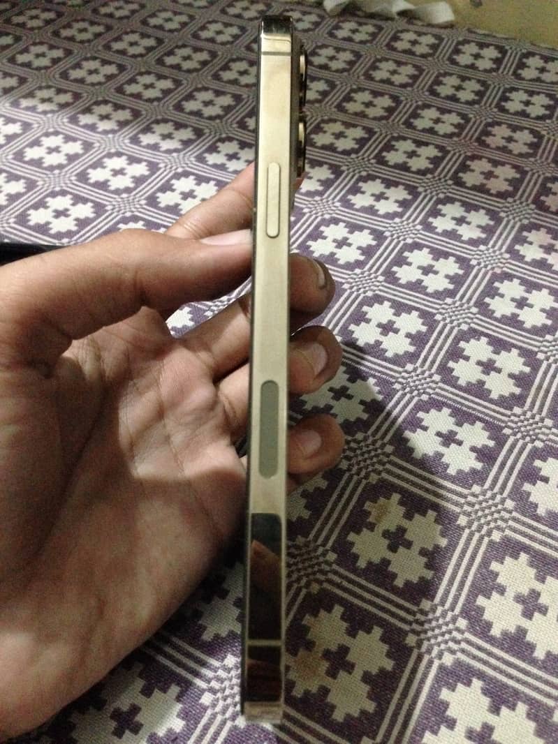Apple iPhone 13 Pro Max 3