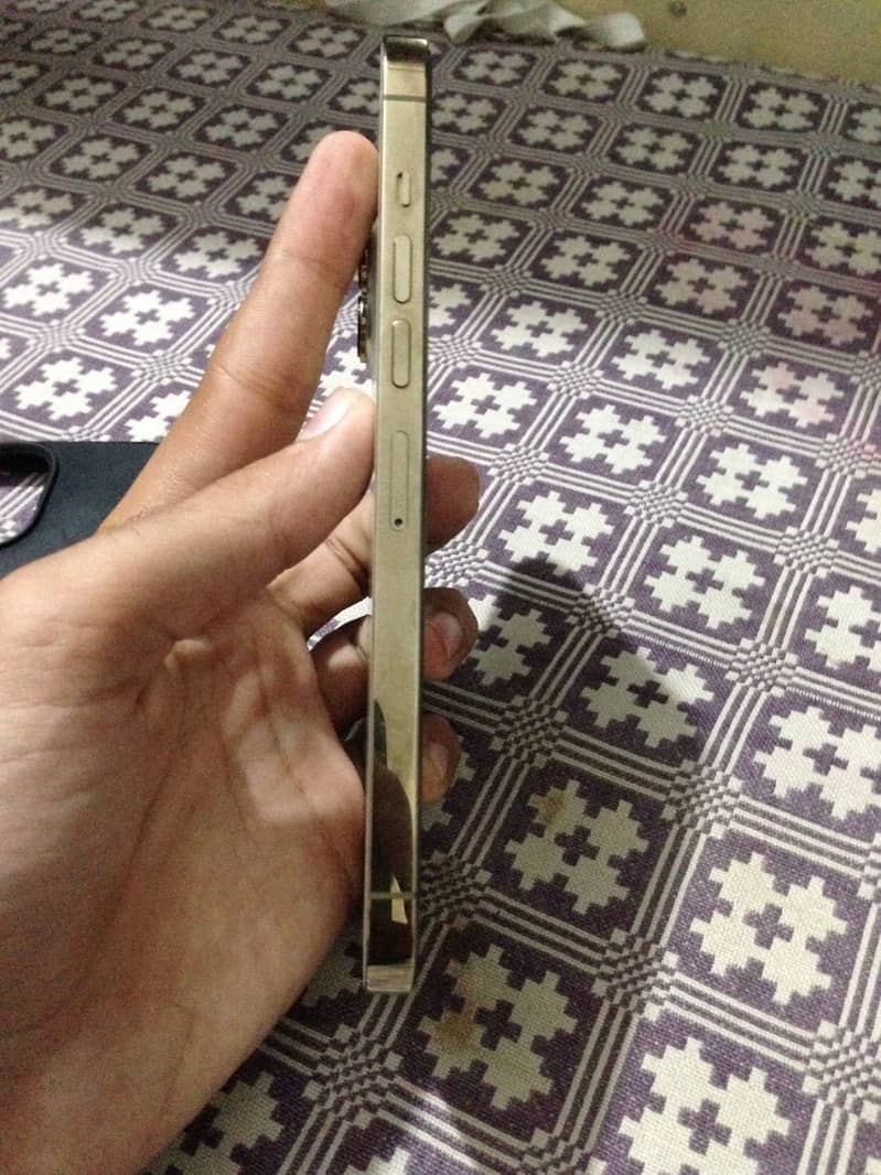 Apple iPhone 13 Pro Max 6