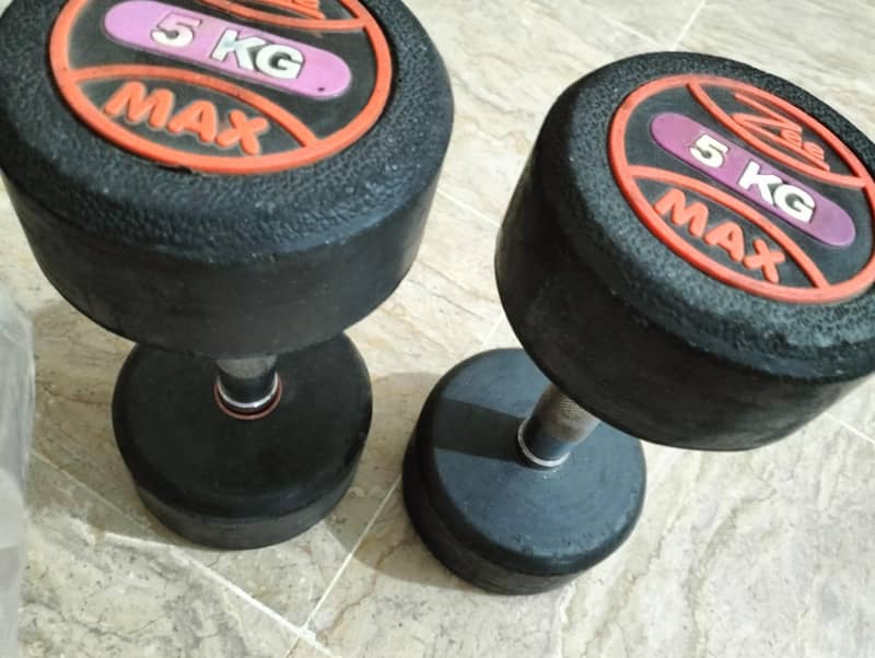 dumble 1