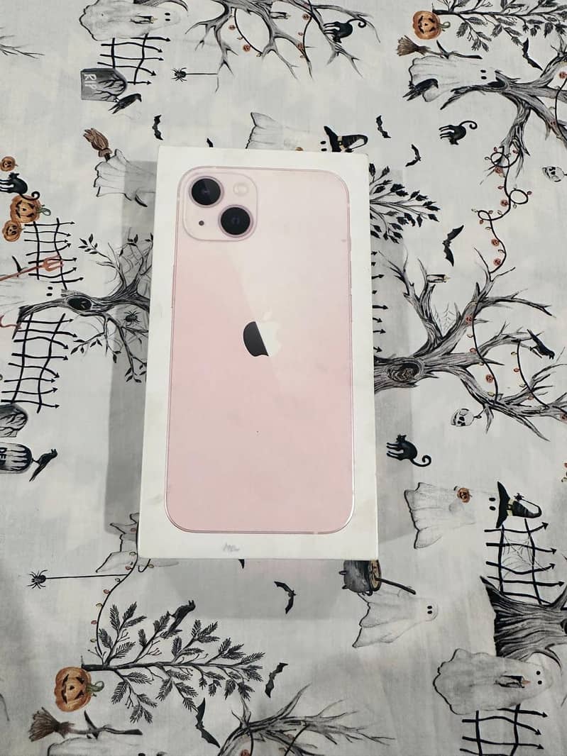 Apple iPhone 13 6