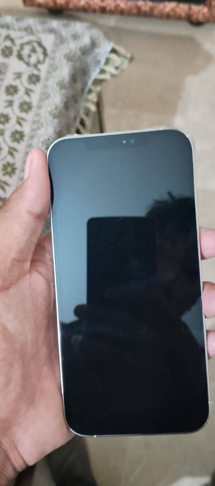 Apple iPhone 12 Pro Max 2