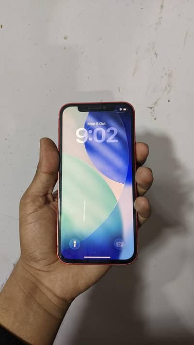 Apple iPhone 12 dual SIM PTA approved