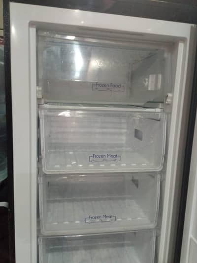 PEL freezer