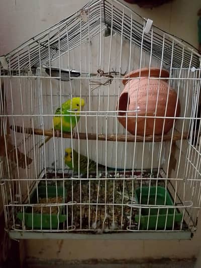 bajri pair