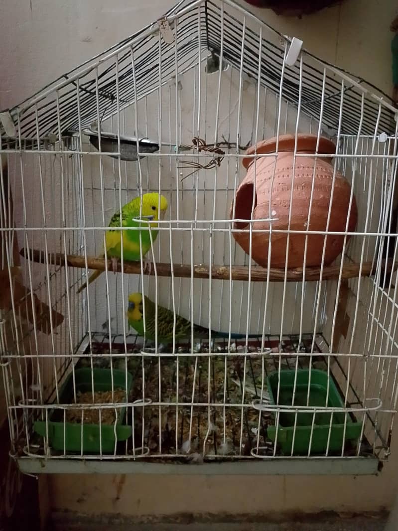 bajri pair 0
