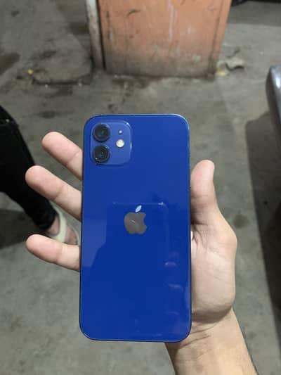 iPhone 12