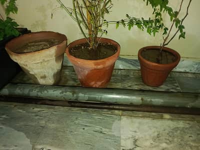 vase sale