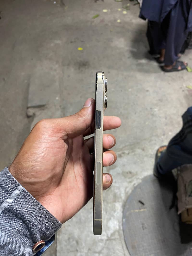 Apple iPhone 13 Pro Max 1