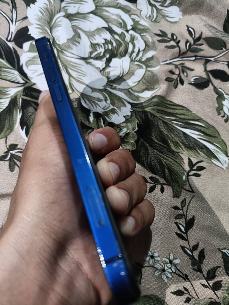 Apple iPhone 12 1