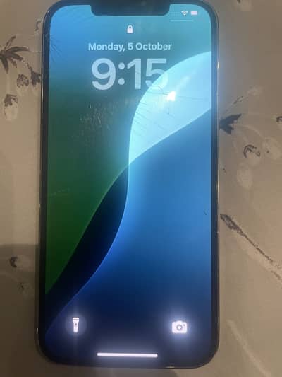 Apple iPhone 12 Pro Max