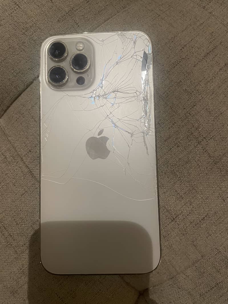 Apple iPhone 12 Pro Max 2