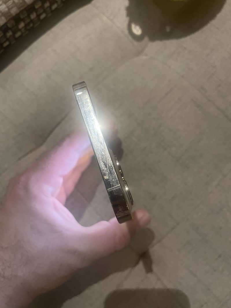 Apple iPhone 12 Pro Max 3