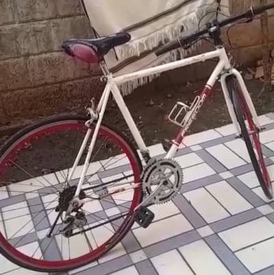 Used Mountain / Sports Bicycle for Sale – Good Frame