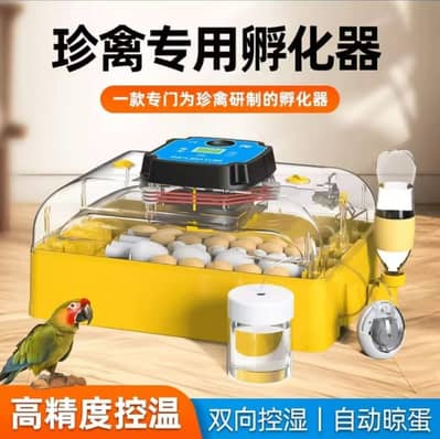 PARROT INCUBATOR