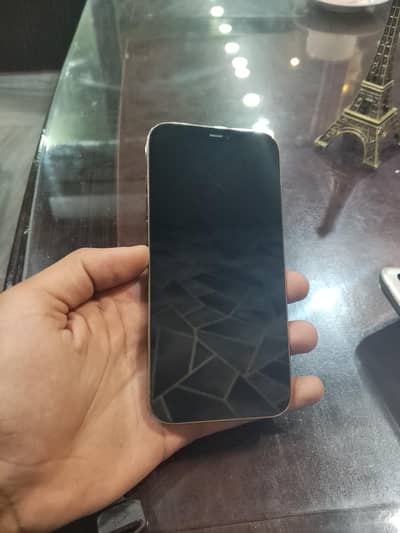 Apple iPhone 12 Pro Max