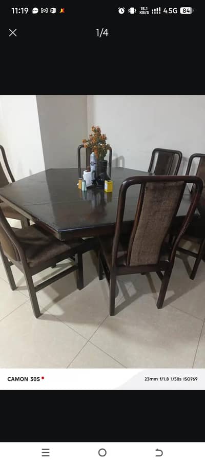 diyar wood chairs