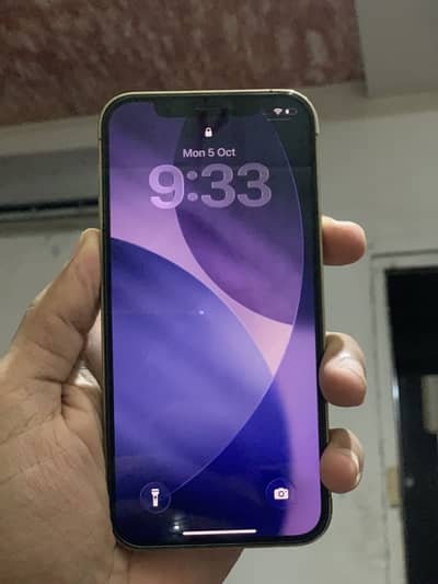 Apple iPhone 12 Pro