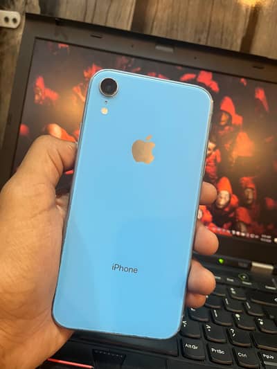 iPhone XR