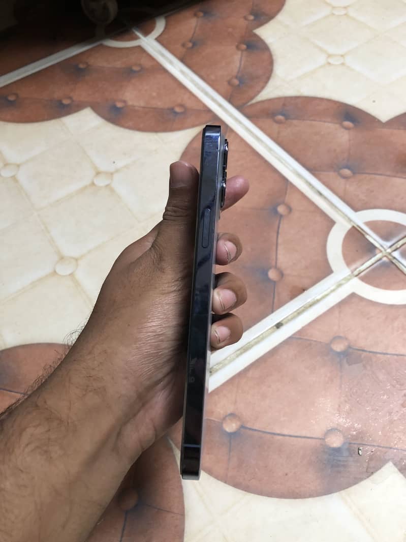 Apple iPhone 13 Pro Max 1