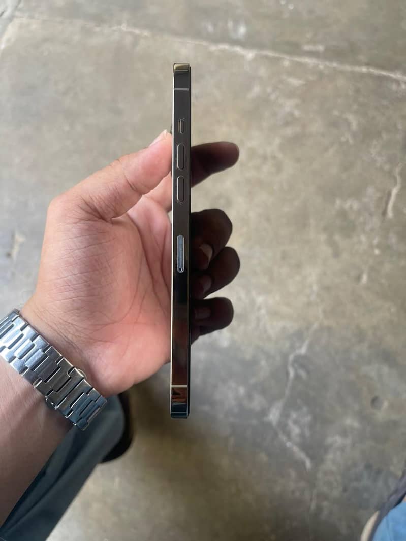 Apple iPhone 12 Pro Max 6