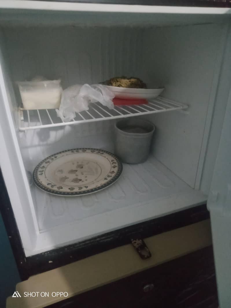 PEL fridge 5