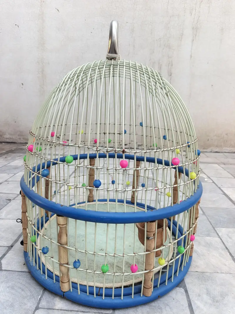 chakor cages — photo 2