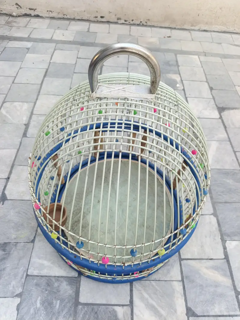 chakor cages — photo 3