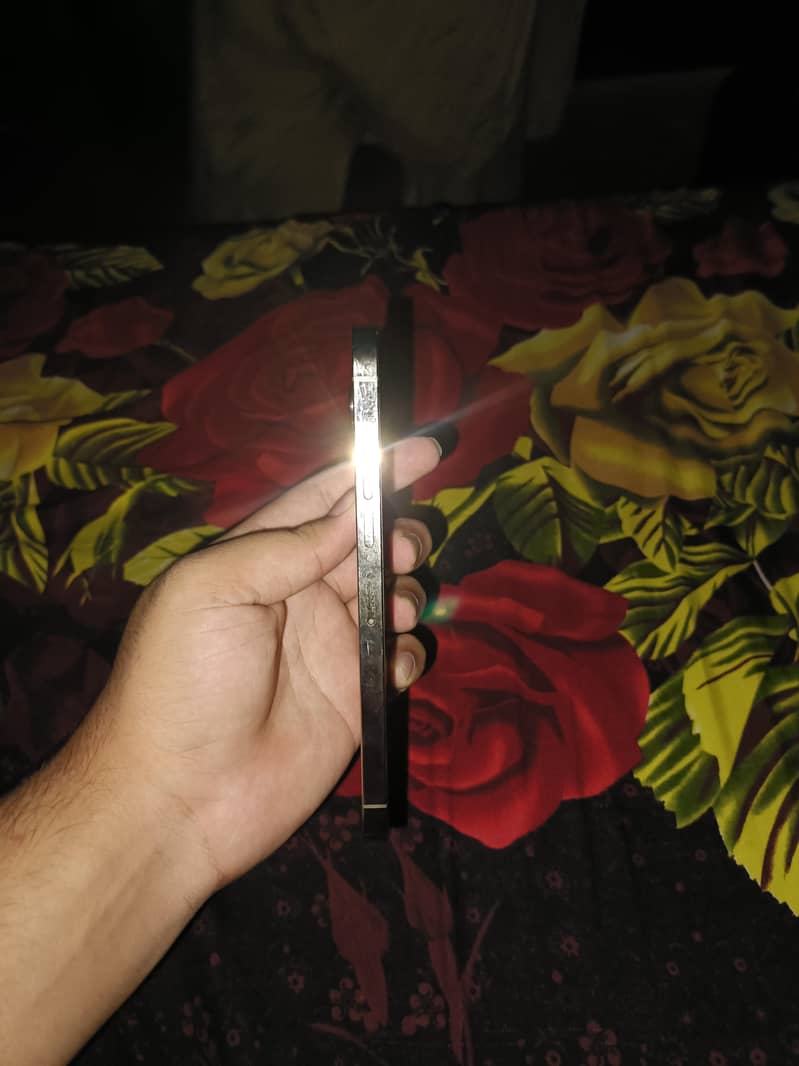 Apple iPhone 13 Pro Max 3
