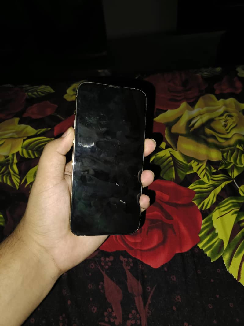 Apple iPhone 13 Pro Max 4