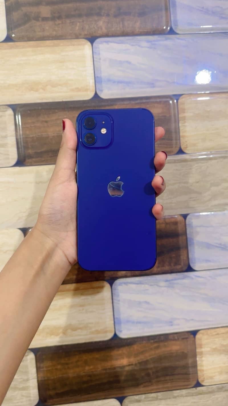 Apple iPhone 12 1