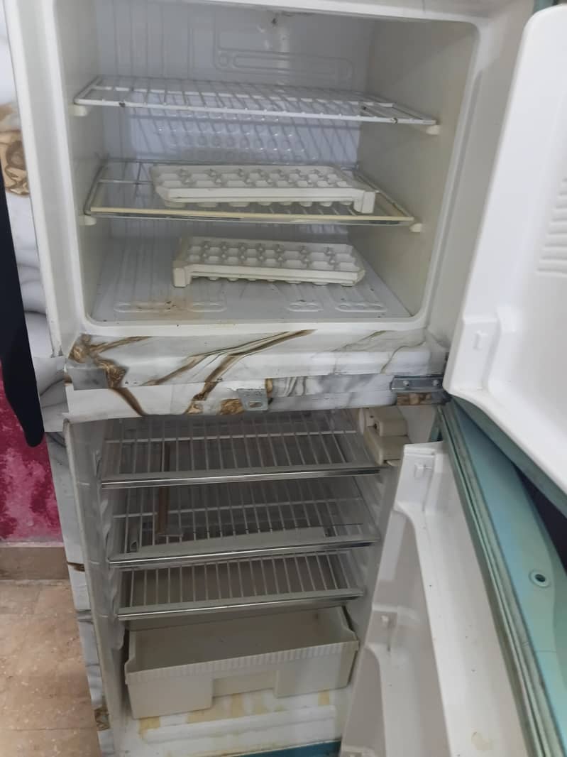 fridge 1