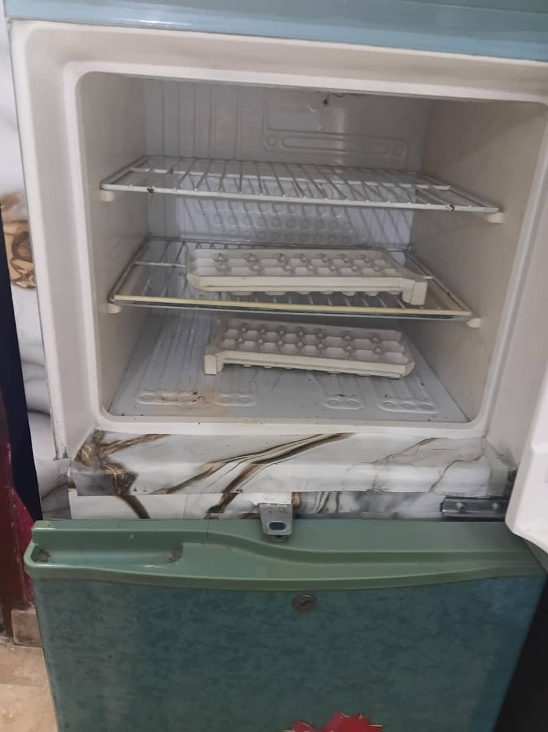 fridge 2