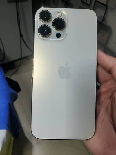 Apple iPhone 13 Pro Max