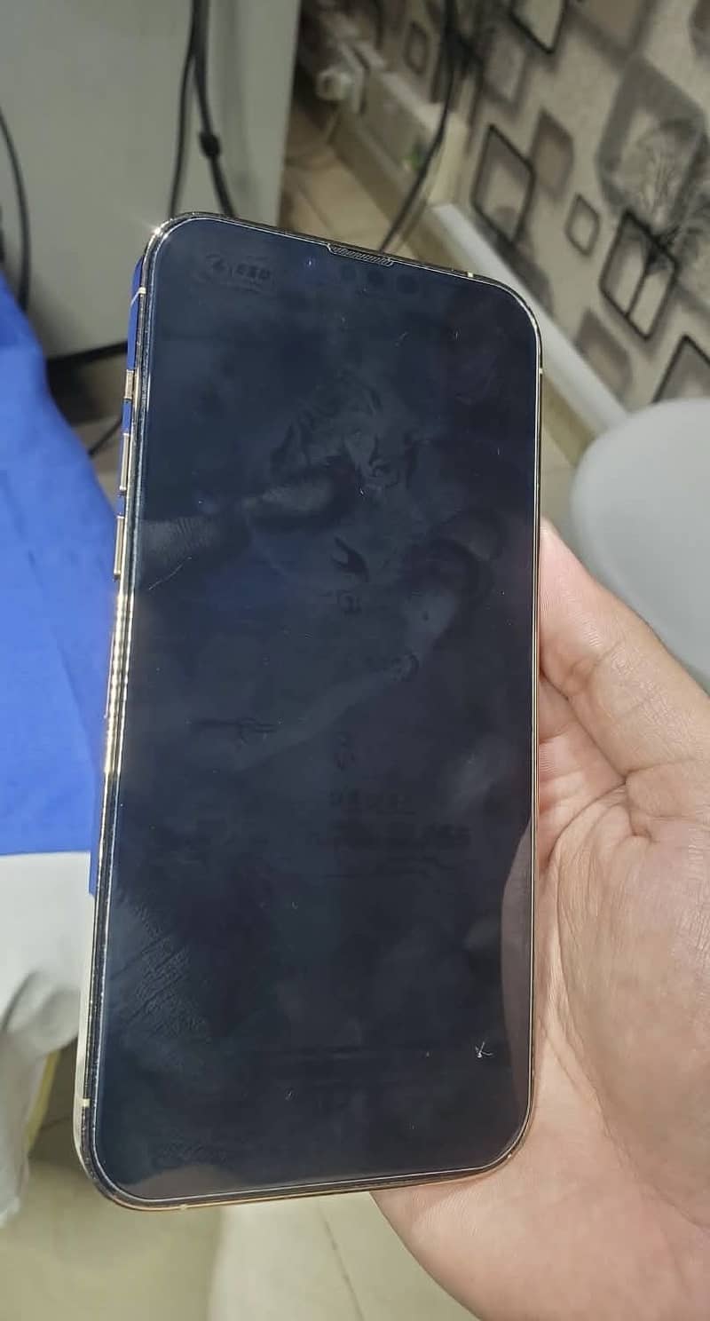Apple iPhone 13 Pro Max 5