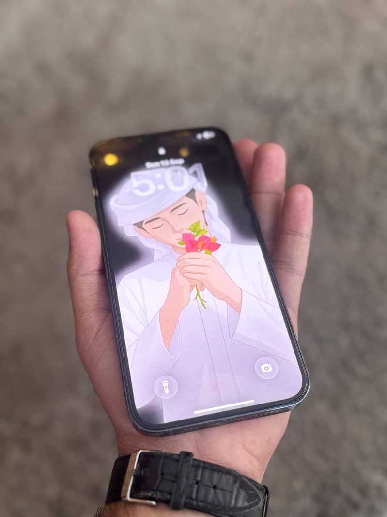 Apple iPhone 13 Pro Max 3