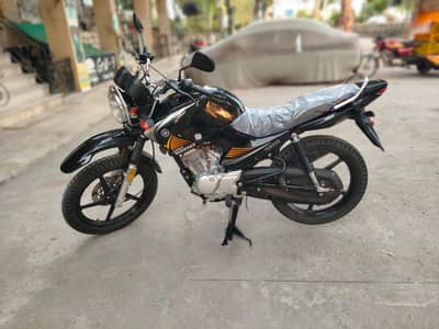 Yamaha Ybr 125G 2024 Scretchless