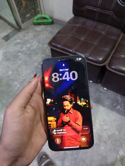 Apple iPhone 12 Pro Max