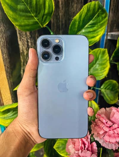 Apple iPhone 13 Pro Max
