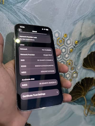 Apple iPhone 13 Pro