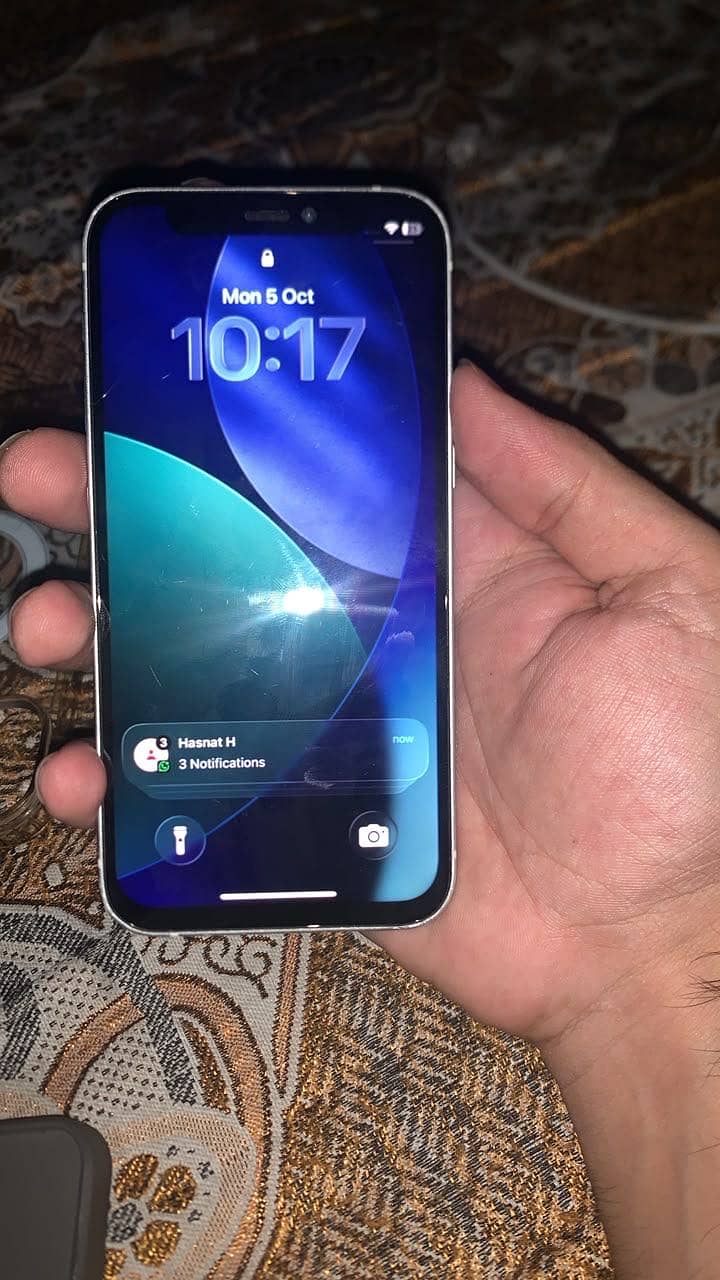 Apple iPhone 12 mini 1