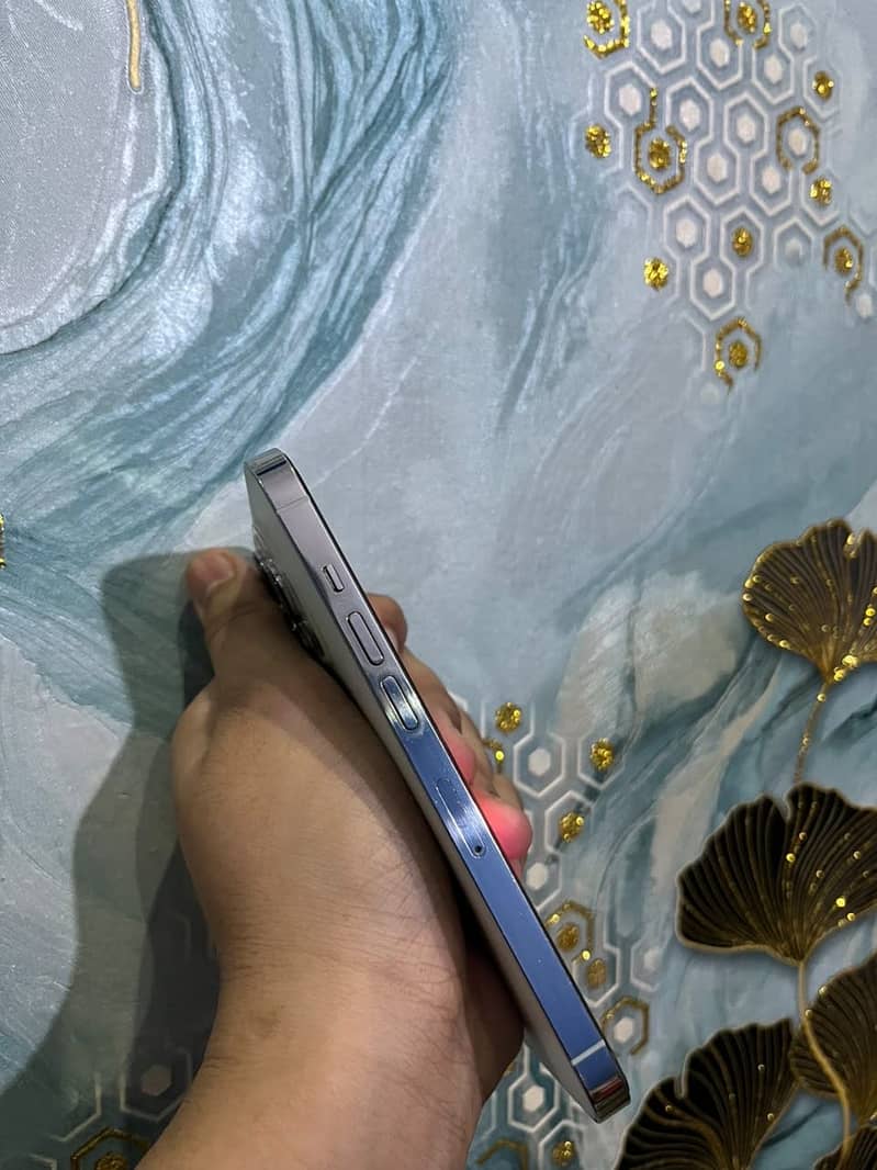 Apple iPhone 13 Pro 4