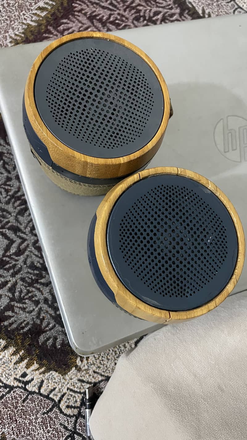 Marleychant 1